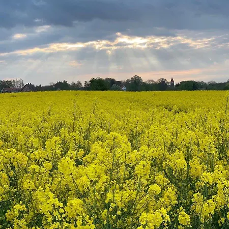 Casa de Férias Luxus-ferienhaus Casa Luna *